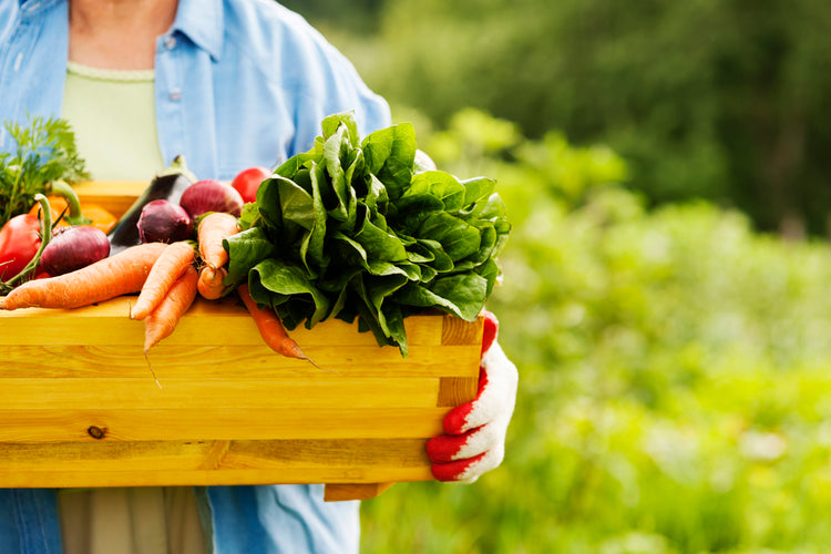 Vegetable Baskets